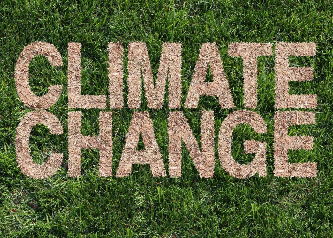 Climate Scientists to Meet Virtually to Finalize a Key Climate Science Study