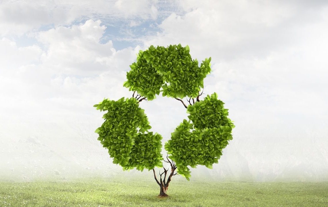environmental awareness