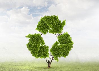 environmental awareness