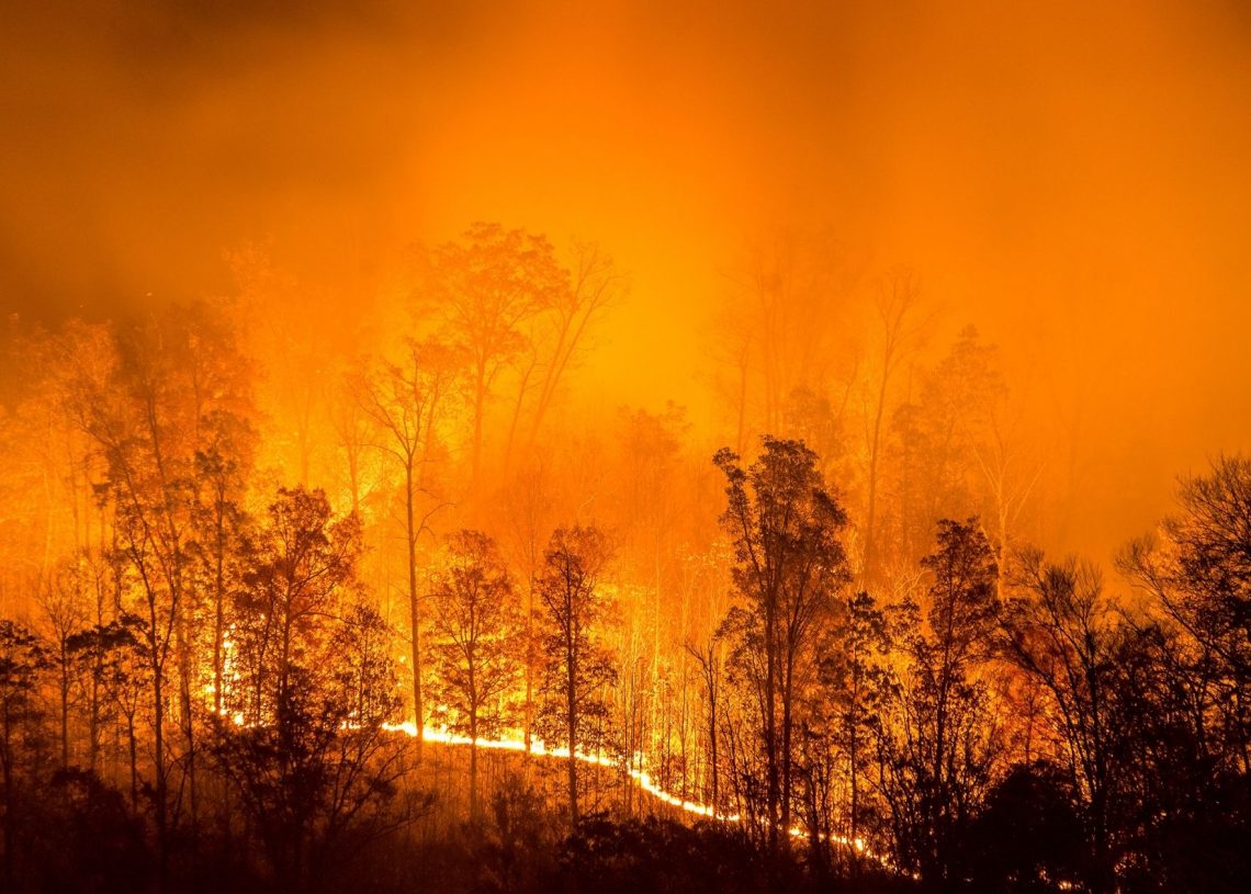 The Dixie Fire in California has Grown to Become the Second Largest Wildfire in the State’s History