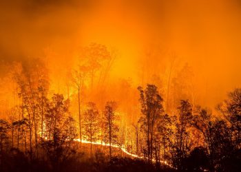 The Dixie Fire in California has Grown to Become the Second Largest Wildfire in the State’s History