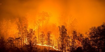 The Dixie Fire in California has Grown to Become the Second Largest Wildfire in the State’s History