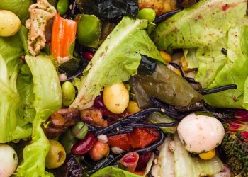 Norfolk Vegetable Producers Say Labour Shortage is Leading to Wastage of Food