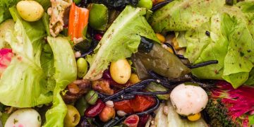 Norfolk Vegetable Producers Say Labour Shortage is Leading to Wastage of Food