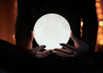 What Exactly Does A Pet Psychic Do?