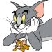 Tom and Jerry Cartoon